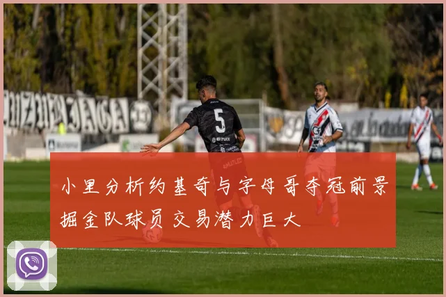 小里分析约基奇与字母哥夺冠前景掘金队球员交易潜力巨大