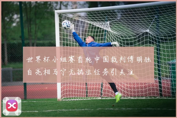 世界杯小组赛首轮中国裁判傅明独自亮相马宁无执法任务引关注