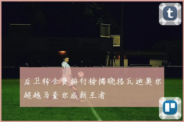 后卫转会费排行榜揭晓格瓦迪奥尔超越马奎尔成新王者